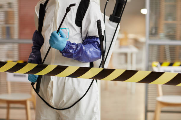 Professional Sewage Cleanup technician working in Wycombe, PA